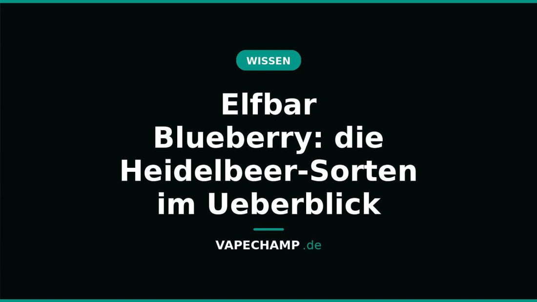 Elfbar Blueberry: die Heidelbeer-Sorten im Ueberblick - Vapechamp.de