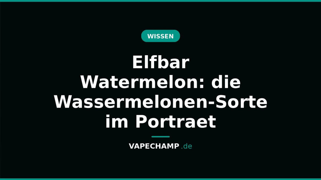 Elfbar Watermelon: die Wassermelonen-Sorte im Portraet - Vapechamp.de
