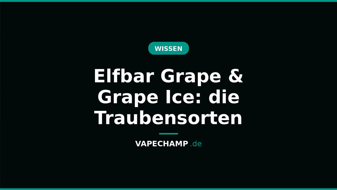 Elfbar Grape & Grape Ice: die Traubensorten – Ratgeber bei Vapechamp.de